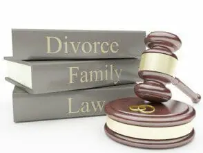 Michigan Family Lawyer