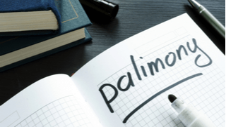 Palimony in Michigan? Are you entitled to Support?